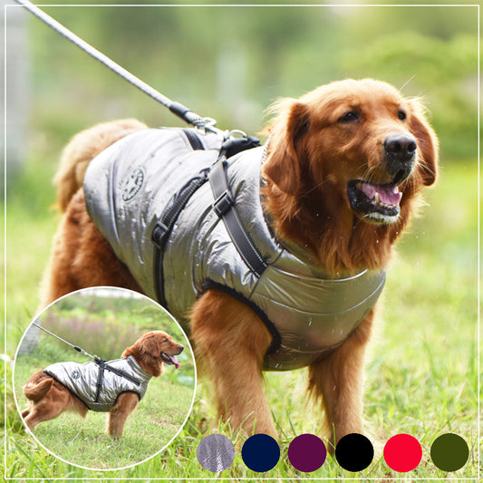 Waterproof Winter Dog Coat with Harness
