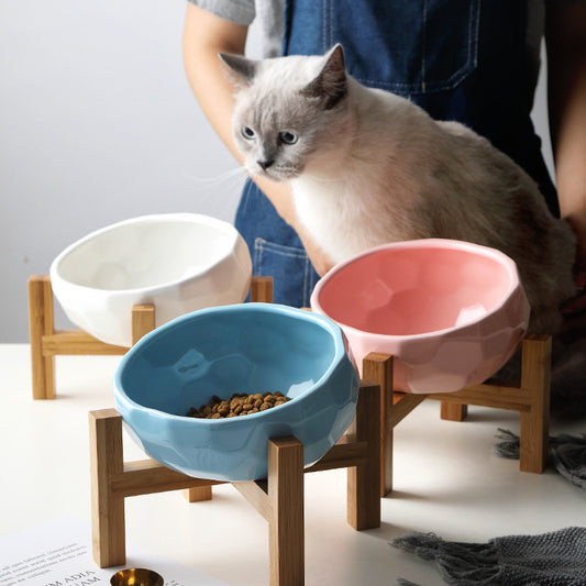 Oblique Pet Food Bowl