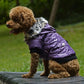 Winter Dog Coat with Fur Collar