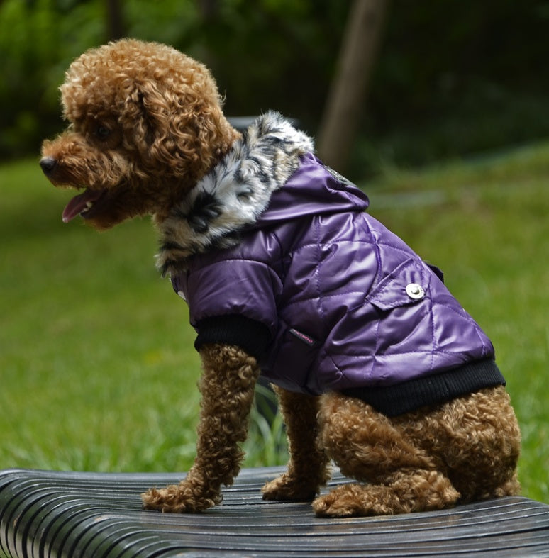 Winter Dog Coat with Fur Collar